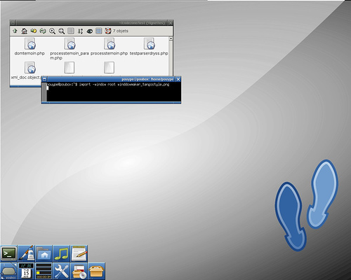 screenshot de bureau sous windowmaker