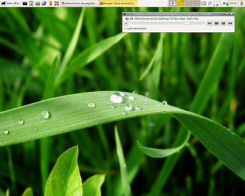 Screenshot gestionnaire de bureau XFCE