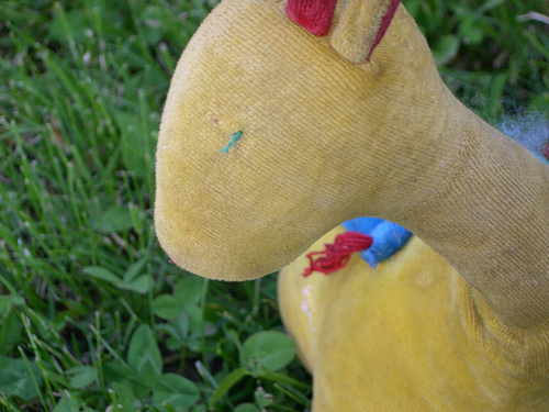 Photo de peluche giraffe dans l'herbe